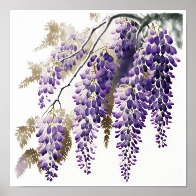 Purple Wisteria Flowers Art Print Poster (Front)