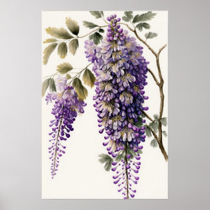 Purple Wisteria Flowers Art Print Poster