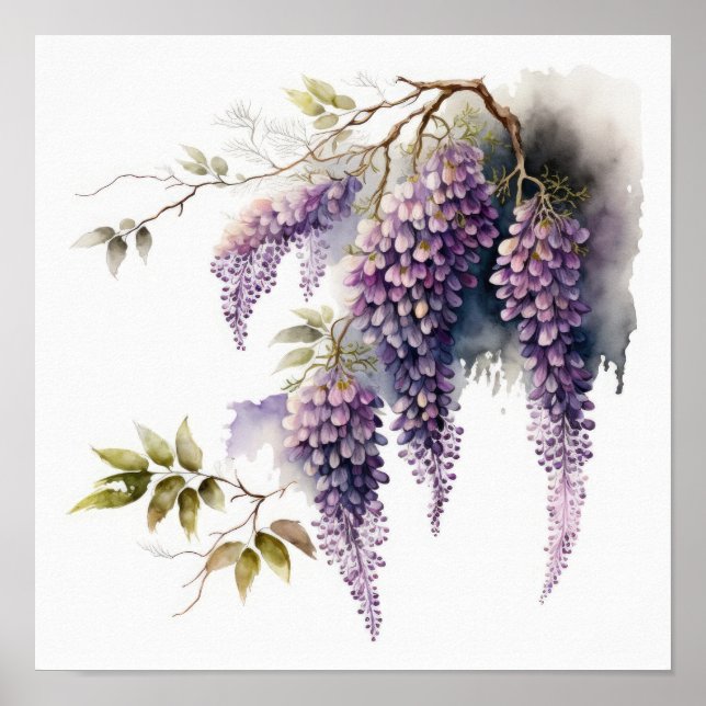 Purple Wisteria Flowers Art Print Poster (Front)