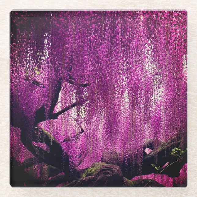Purple Wisteria pink floral vine flower Glass Coaster (Front)