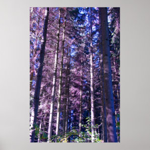 purple woods poster