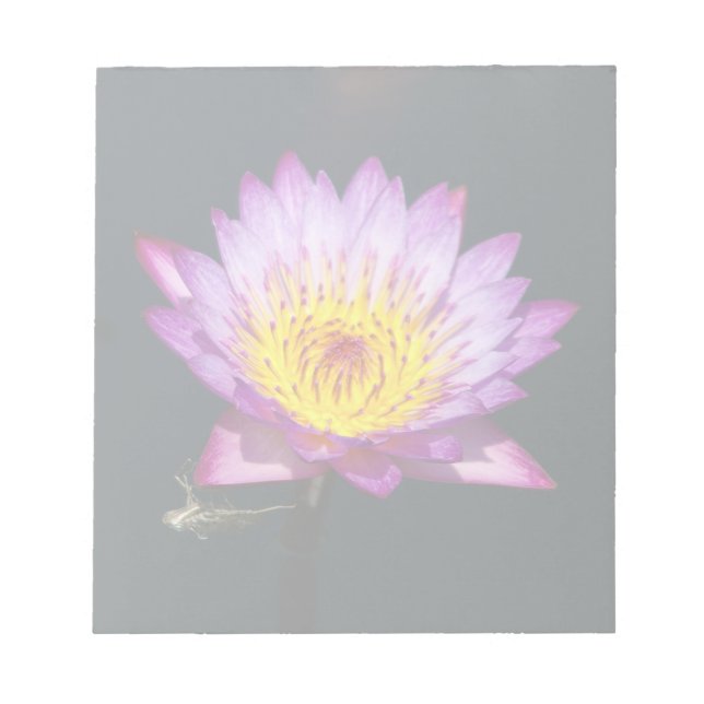 Purple & Yellow Lotus with Dragonfly Nymph Notepad (Front)