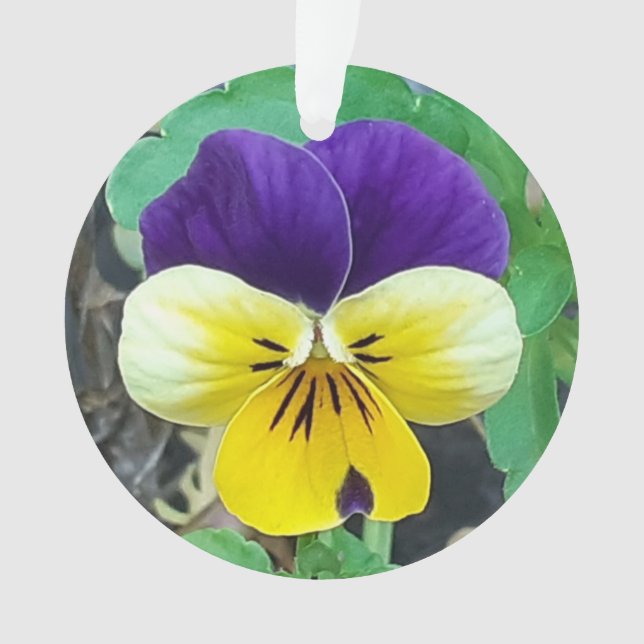 Purple & Yellow Pansy Acrylic Decoration (Front)