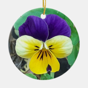 Purple & Yellow Pansy Ceramic Decoration