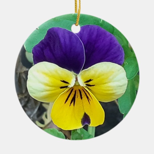 Purple & Yellow Pansy Ceramic Decoration (Front)