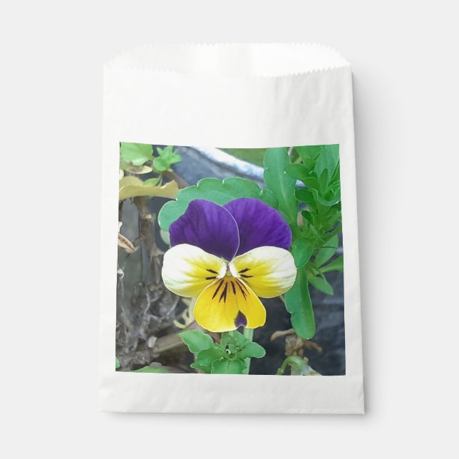 Purple & Yellow Pansy  Favour Bag (Front)