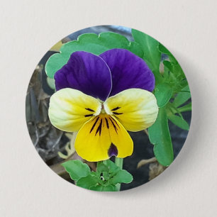 Purple & Yellow Pansy Round Badge