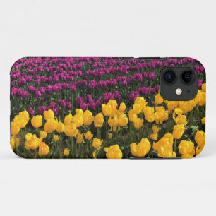 Purple & Yellow Tulip Field, Oregon iPhone 11 Case