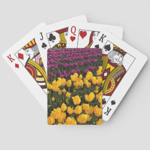 Purple & Yellow Tulip Field, Oregon Playing Cards