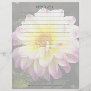 Purple, Yellow & White Dahlia