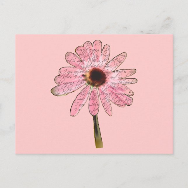 purpleconeflowerbeloved3 postcard (Front)