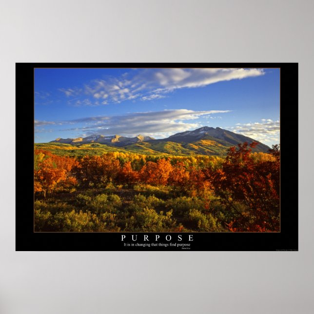 Purpose Poster (Front)