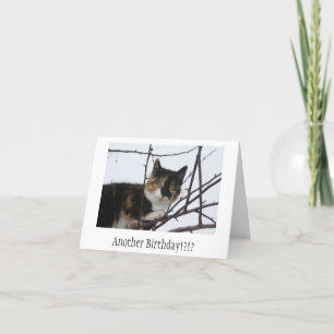 Purr-fect Birthday Card