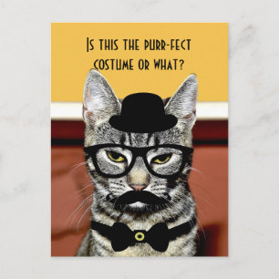 Purr-fect Cat Costume Postcard