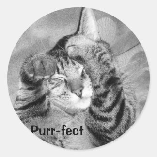 Purr-fect   sticker