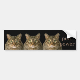 Purr power bumper sticker