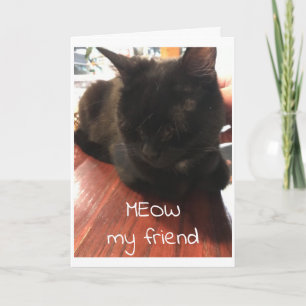***PURR-SUASIVE CAT*** SAYS HAPPY BIRTHDAY TO YOU CARD