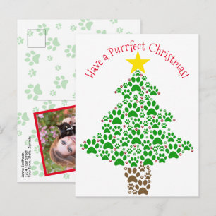 Purrfect Christmas Funny Cat Paw Print Photo Holiday Postcard