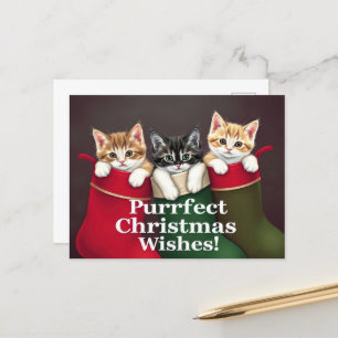 Purrfect Christmas Wishes Cats  Postcard