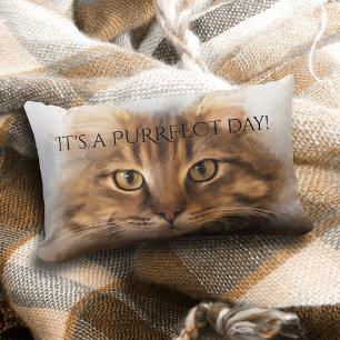 Purrfect Tabby Maine Coon Cat Pillow