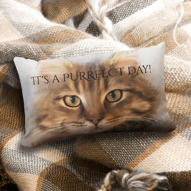 Purrfect Tabby Maine Coon Cat Pillow (A lovely pillow featuring a painting of a tabby Maine Coon cat and your custom text)