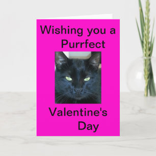 Purrfect Valentine's Day Holiday Card