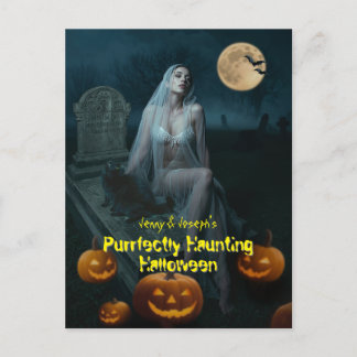 Purrfectly Haunting Halloween Postcard
