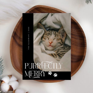 Purrfectly Merry Cat Photo Black Christmas Holiday Card
