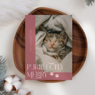Purrfectly Merry Cat Photo Pink Christmas Holiday Card