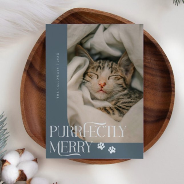Purrfectly Merry Cat Photo Slate Blue Christmas Holiday Card (Creator Uploaded)