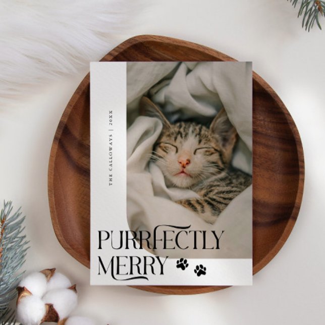 Purrfectly Merry Cat Photo White Christmas Holiday Card (Creator Uploaded)