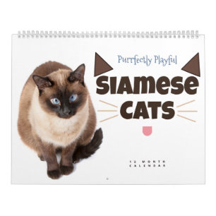 Purrfectly Playful: Siamese Cats Calendar