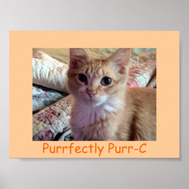 PURRFECTLY PURR-C Poster (Front)