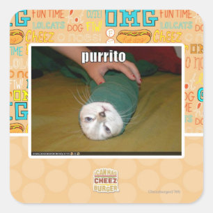 purrito square sticker