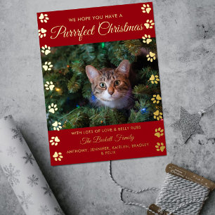 Purrrfect Christmas Cat Photo Real Foil Holiday Postcard