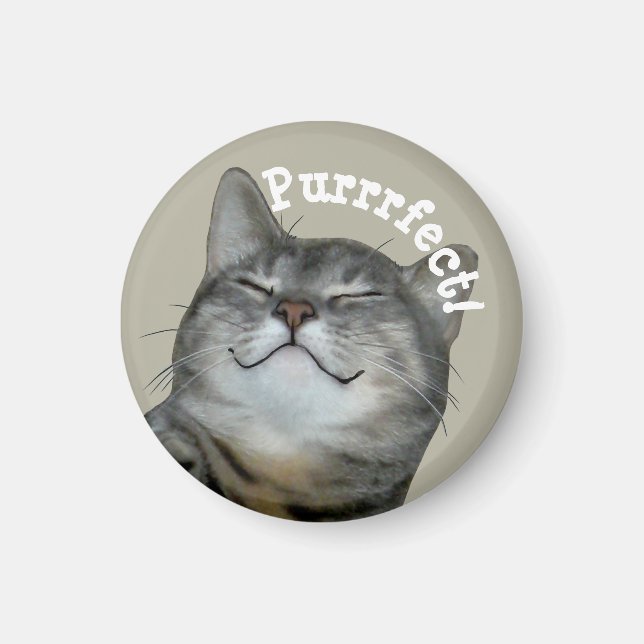 Purrrfect Smiling smug kitty cat Magnet (Front)