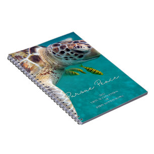 Pursue Peace Regional Convention   JW Notebook