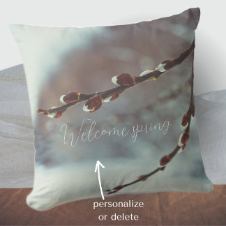 Pussy willow branches with catkins in late winter cushion