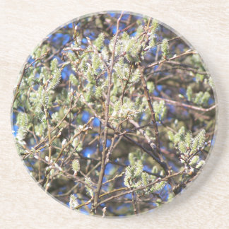 PUSSY WILLOW COASTER