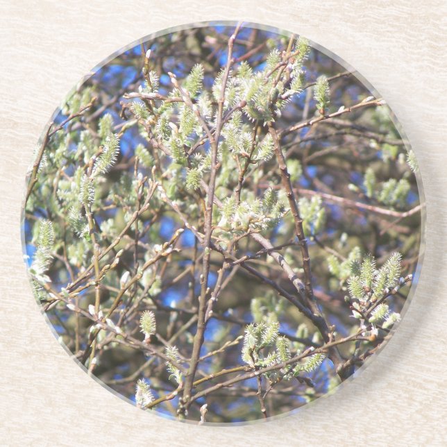 PUSSY WILLOW COASTER (Front)
