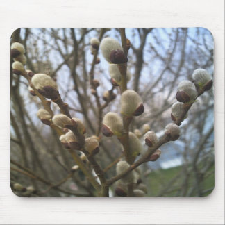 Pussy Willows Mouse Pad