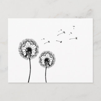Pusteblume Postcard