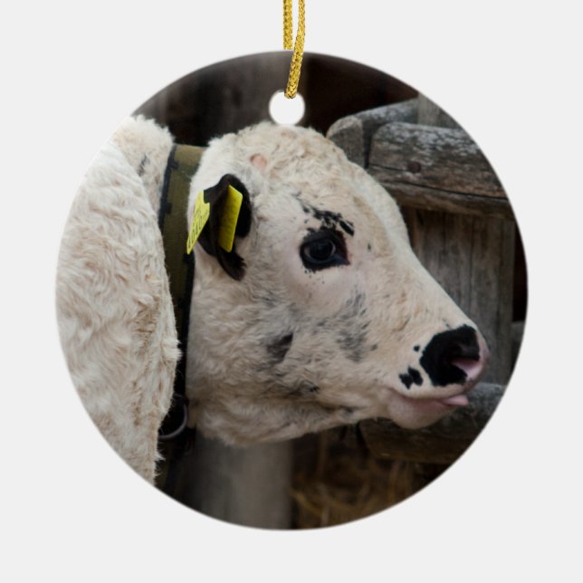 Pustertal Pied Calf Ceramic Tree Decoration (Front)