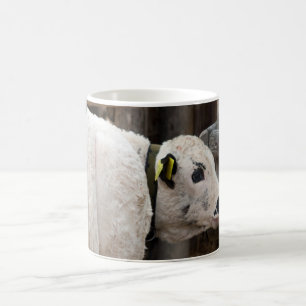 Pustertal Pied Calf Coffee Mug