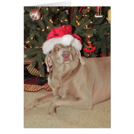 Put Some Jolly In Your Christmas Card