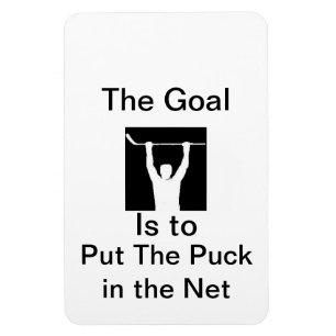 Put the puck in the net magnet