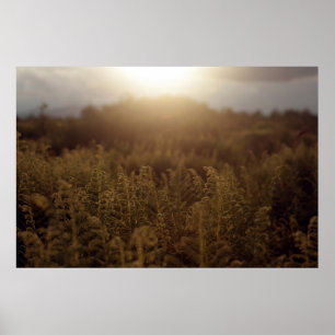 Putney Mountain Sunset Poster