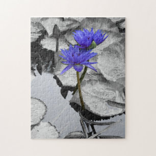 Puzzle 10 x 14