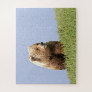 Puzzle 16x20 "56 oversized pieces" of grizzly