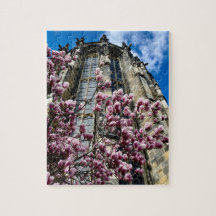 Puzzle Aachen Cathedral Magnolia